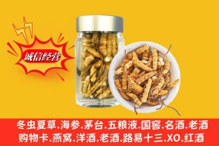略阳县回收散虫草