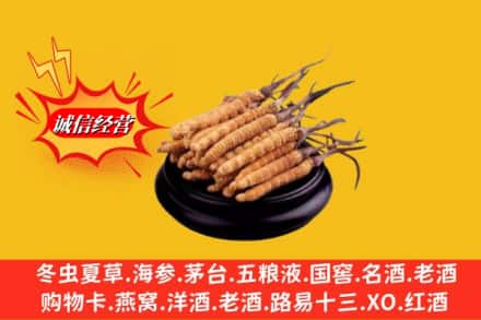 略阳县求购回收虫草多少钱每克